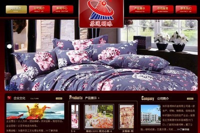南通網(wǎng)站建設案例_中企動力南通分公司